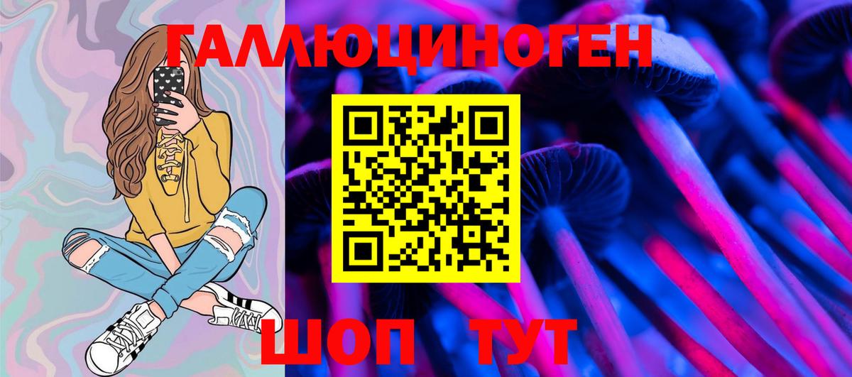 Сыктывкар  Псилоцибиновые грибы ЛСД  Вход с VPN 